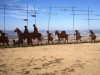 איך להכין את הגוף להליכה של 25 ק"מ בכל יום במהלך הקמינו דה סנטיאגו (Camino de Santiago)?
